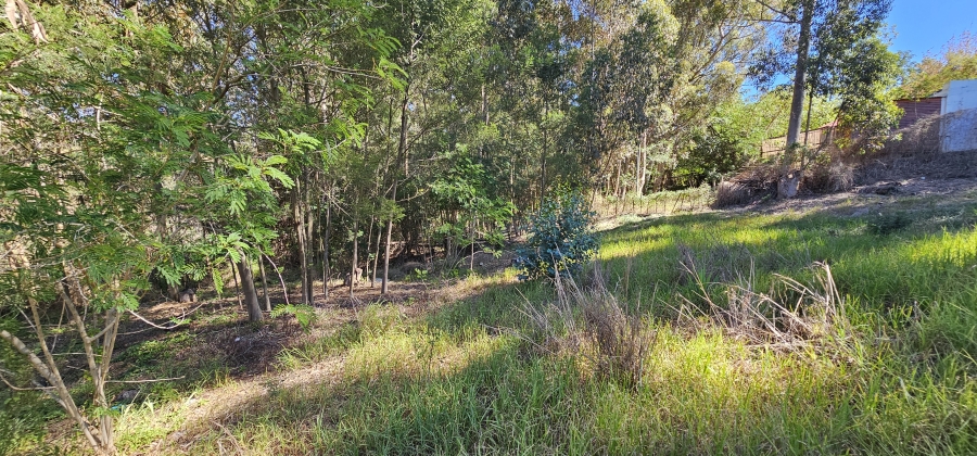 0 Bedroom Property for Sale in Swellendam Western Cape